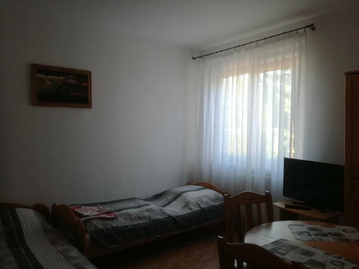 Chata Pod Roza Ledzin Екстериор снимка